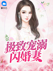 《极致宠溺闪婚妻 》精彩试读